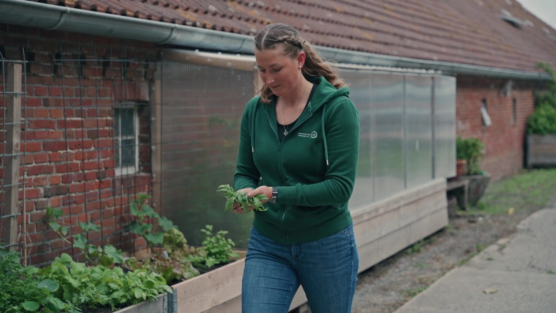 Hauswirtschafterin erntet Rucola am Hochbeet vor einer Backsteinscheune